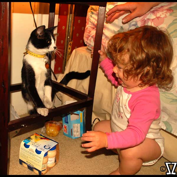 Image#74